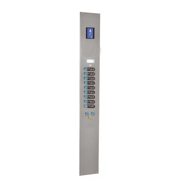 TLG-337