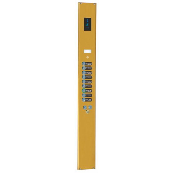 TLG-338